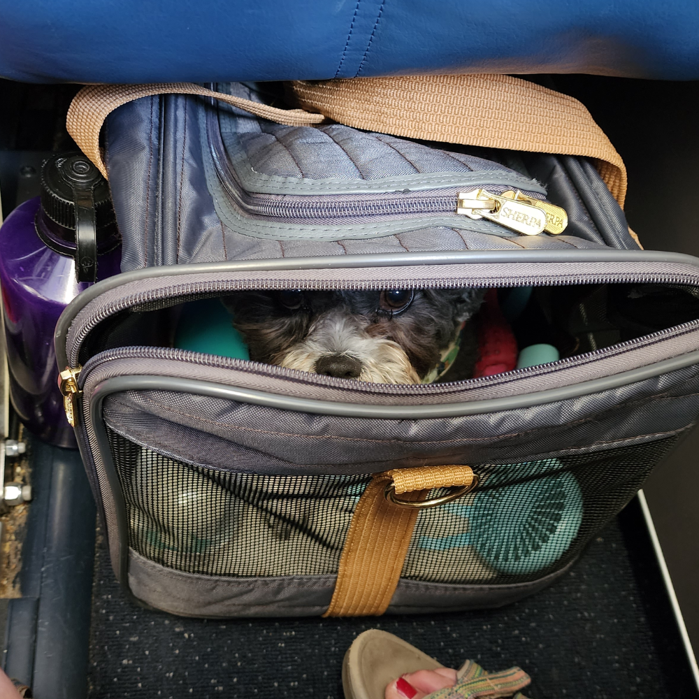 Fort Lauderdale-Hollywood International Airport (FLL) to Minneapolis–Saint Paul International Airport (MSP) on Delta Air Lines