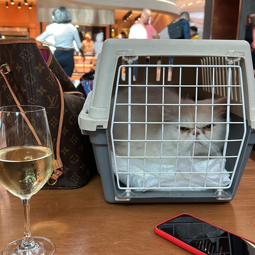 Istanbul Airport (IST) to Newark Liberty International Airport (EWR) on Turkish Airlines