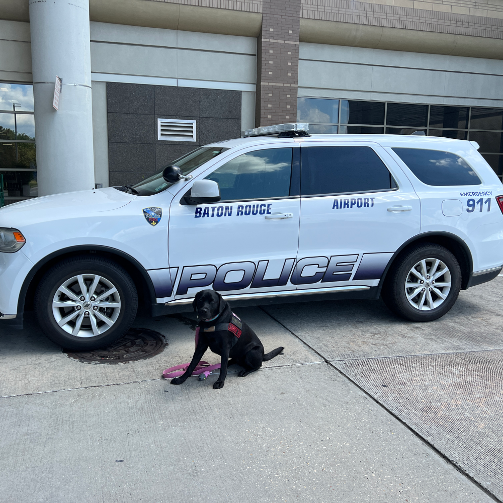 Monterey Regional Airport (MRY) to Baton Rouge Metropolitan Airport (BTR) on American Airlines