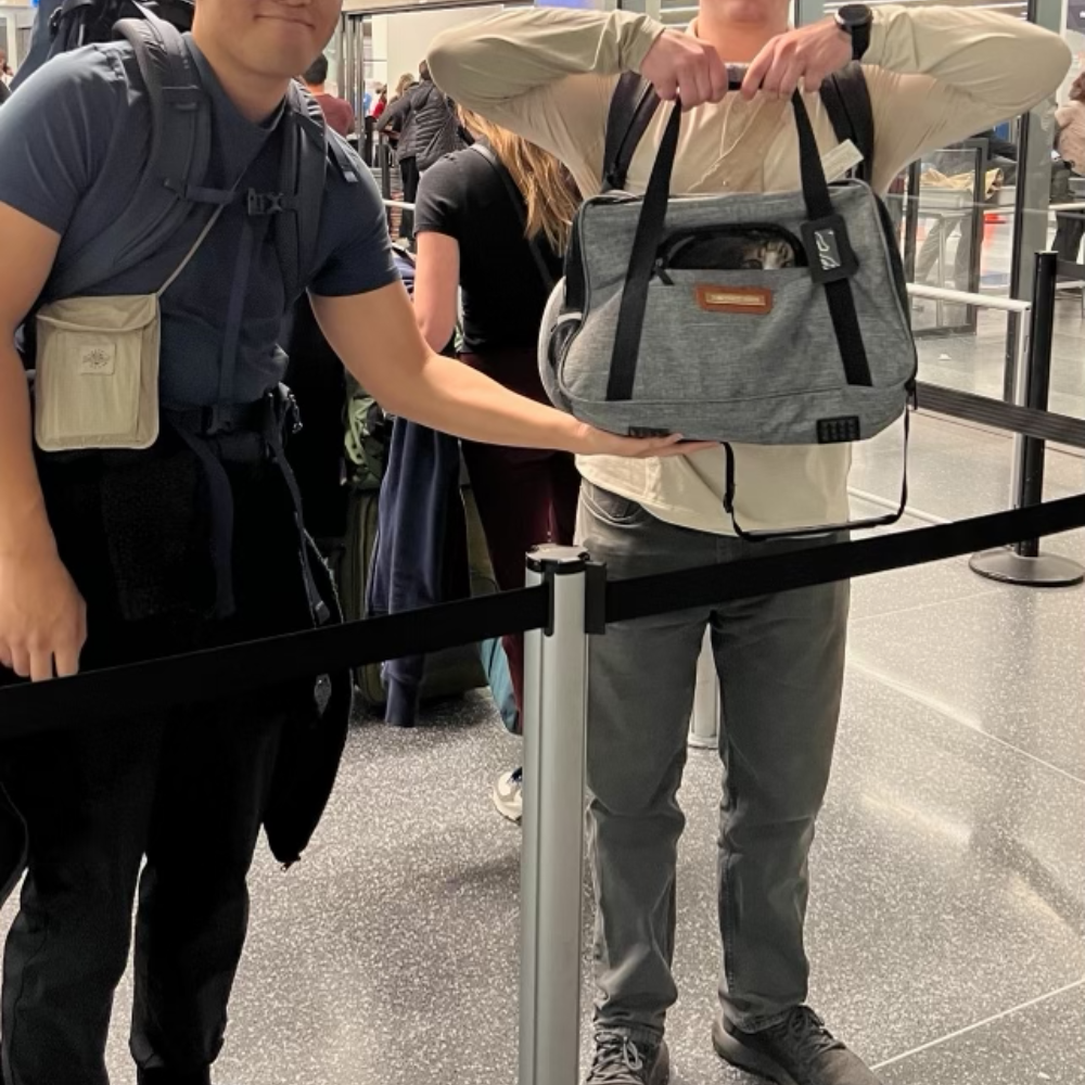 San Francisco International Airport (SFO) to Nice Côte d'Azur Airport (NCE) on Swiss International Air Lines