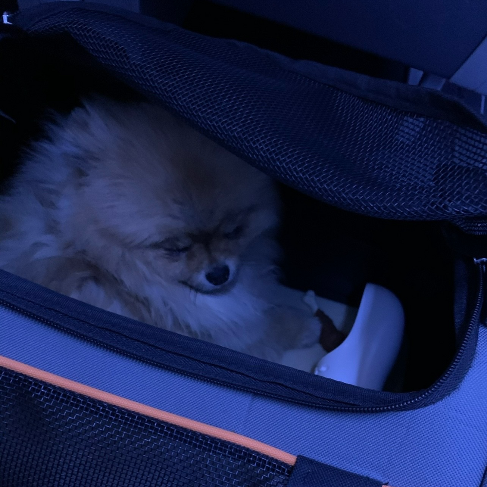 Sarajevo International Airport (SJJ) to Istanbul Airport (IST) on Turkish Airlines