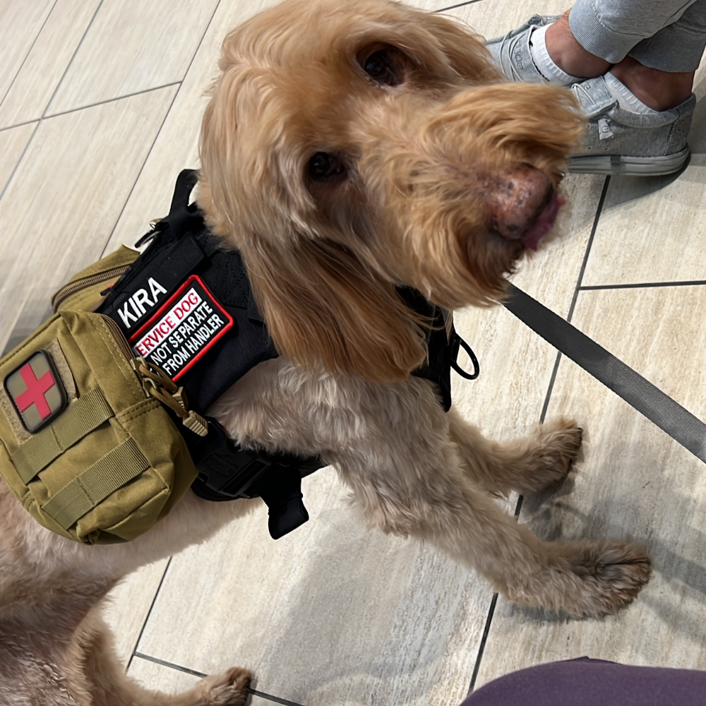 Unknown (null) to Unknown (null) on American Airlines