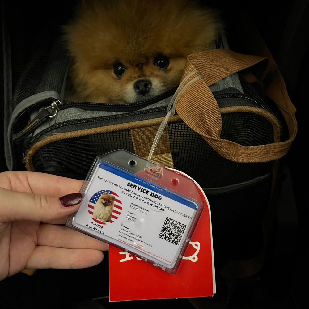 Istanbul Airport (IST) to Los Angeles International Airport (LAX) on Turkish Airlines