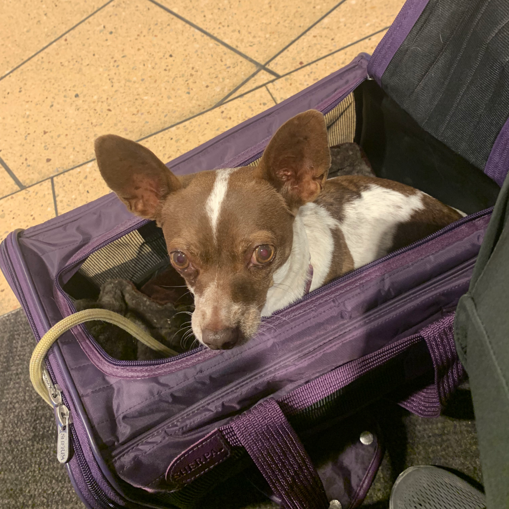 San Diego International Airport (SAN) to Indianapolis International Airport (IND) on Southwest Airlines