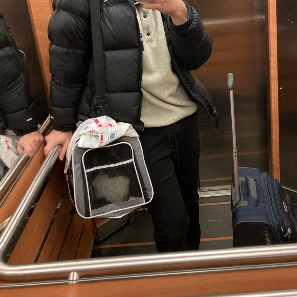 Sabiha Gökçen International Airport (SAW) to Rotterdam The Hague Airport (RTM) on Pegasus Airlines