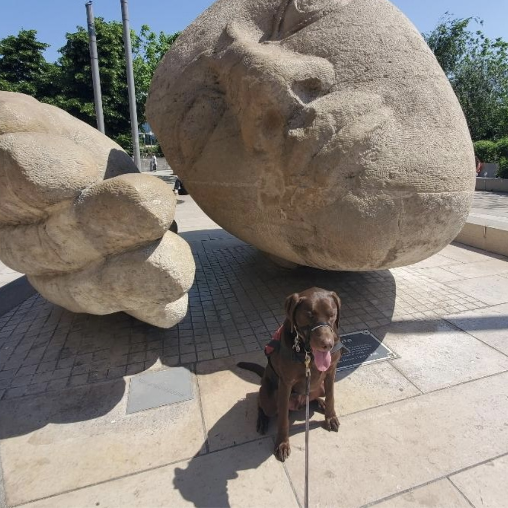 O'Hare International Airport (ORD) to Josep Tarradellas Barcelona-El Prat Airport (BCN) on American Airlines