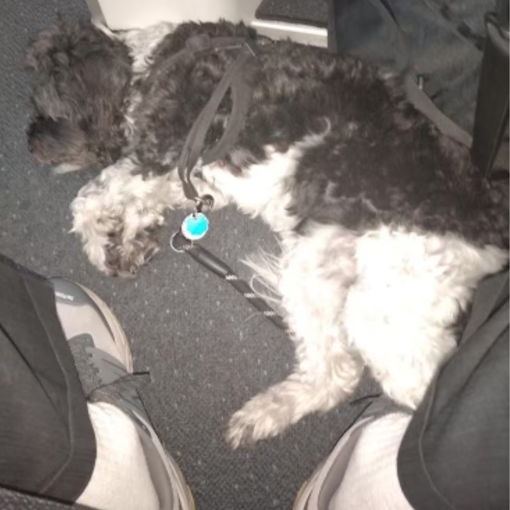 Milan Malpensa Airport (MXP) to Newark Liberty International Airport (EWR) on La Compagnie