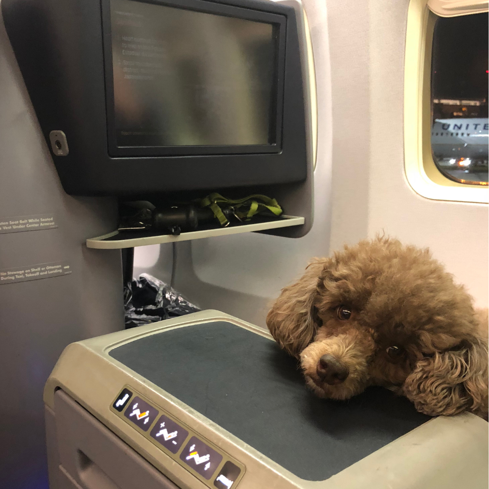 Newark Liberty International Airport (EWR) to Wilmington International Airport (ILM) on United Airlines