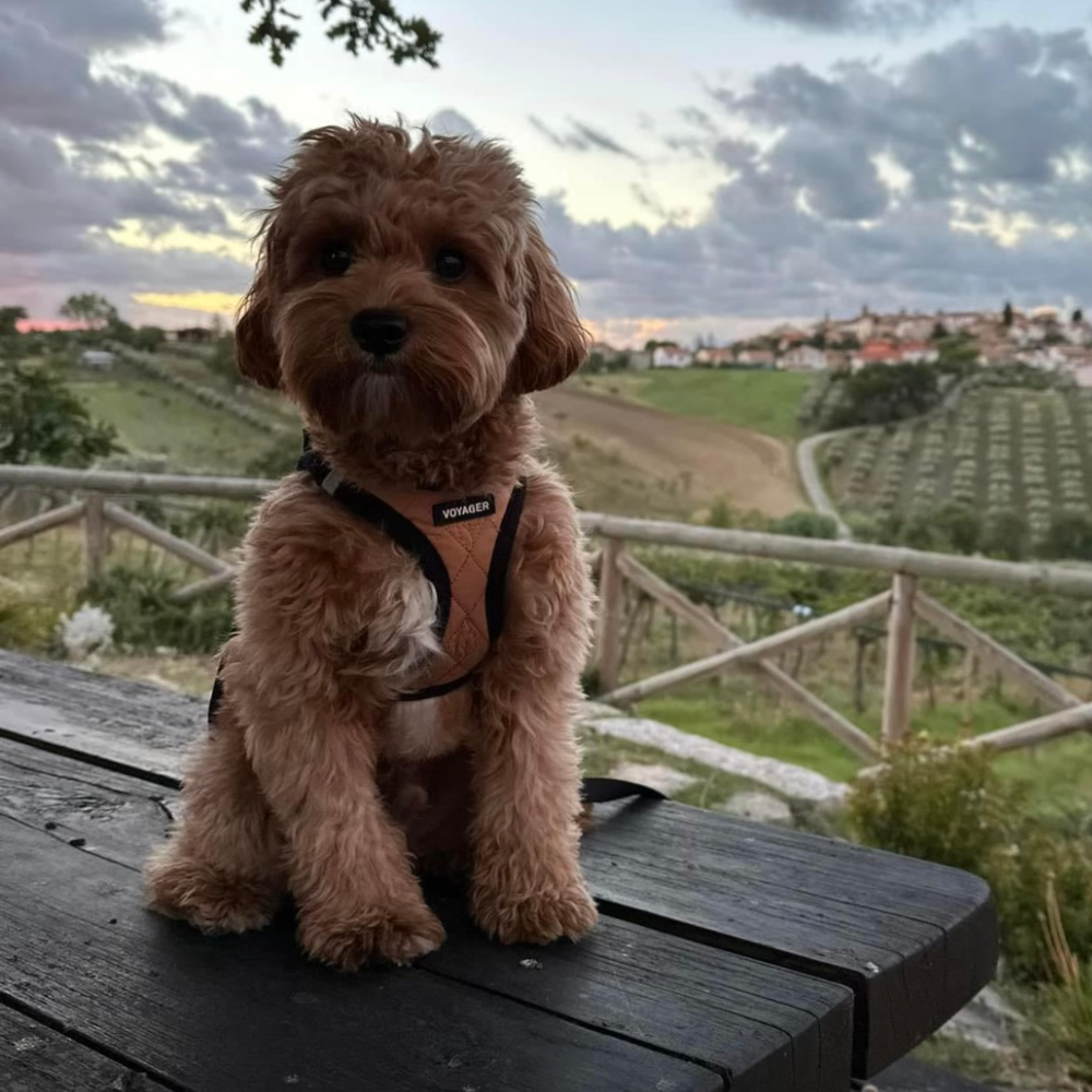 John F. Kennedy International Airport (JFK) to Los Angeles International Airport (LAX) on Delta Air Lines