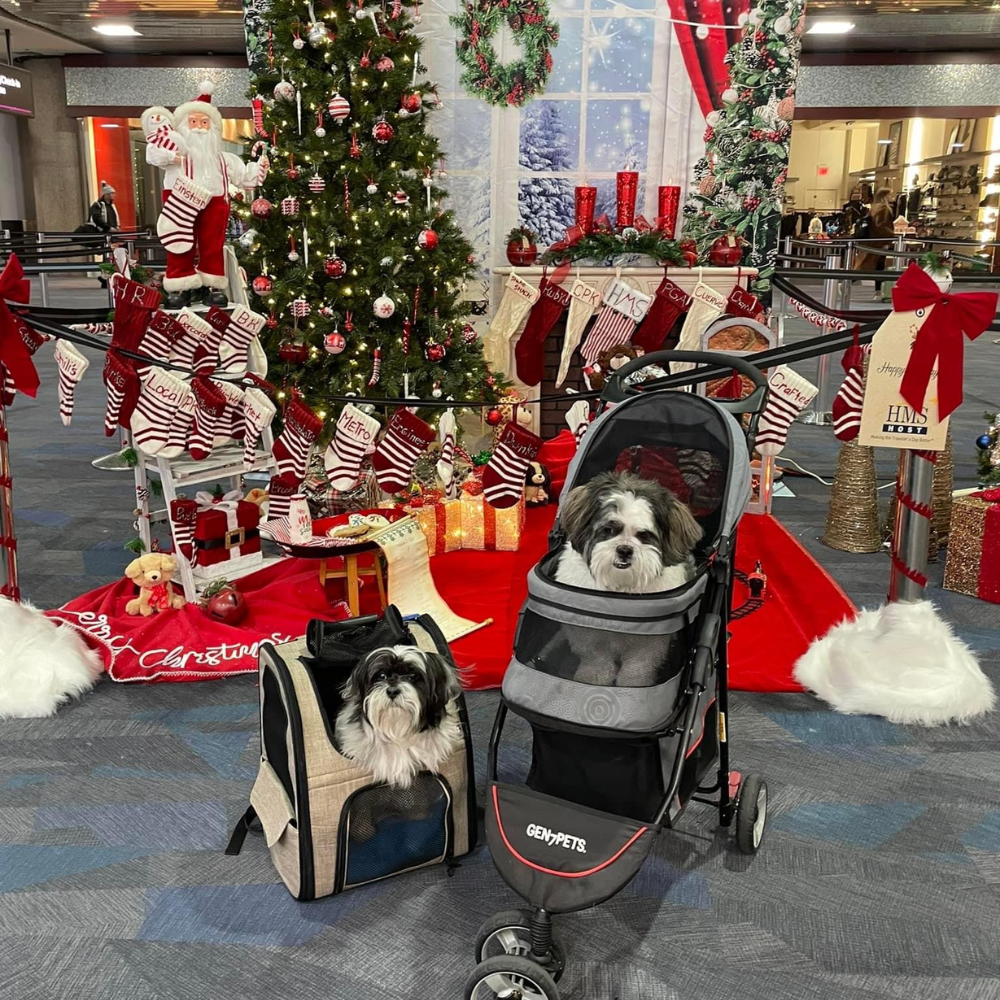 Harry Reid International Airport (LAS) to Miami International Airport (MIA) on American Airlines