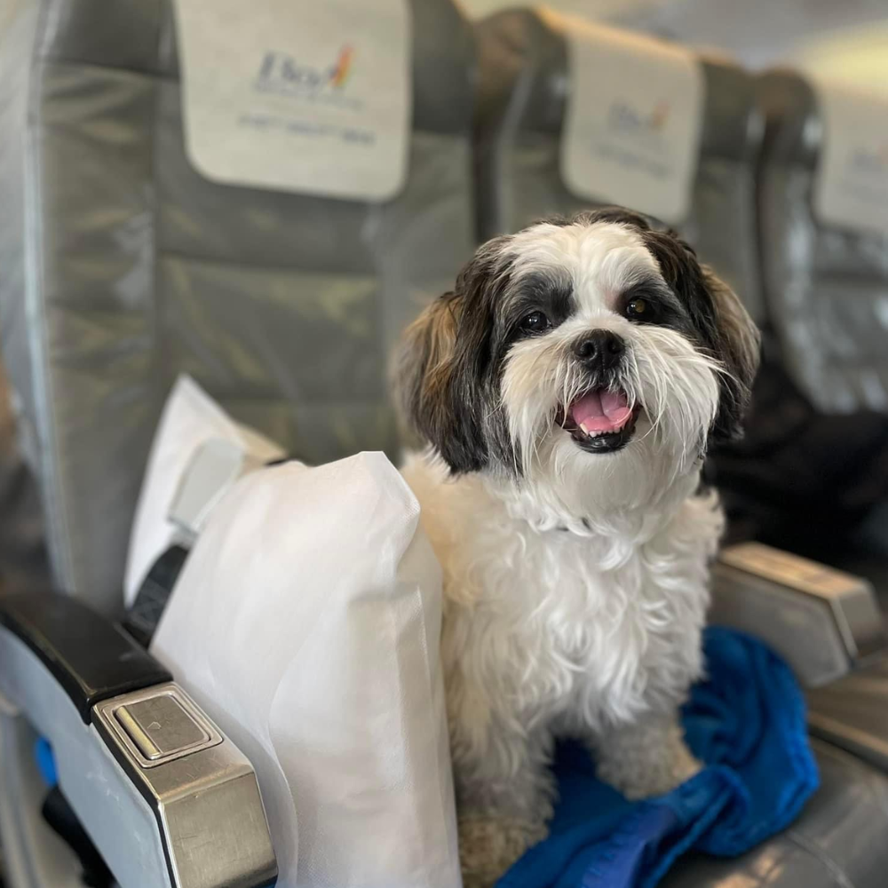 Miami International Airport (MIA) to Viru Viru International Airport (VVI) on Boliviana de Aviación (BoA Airlines)