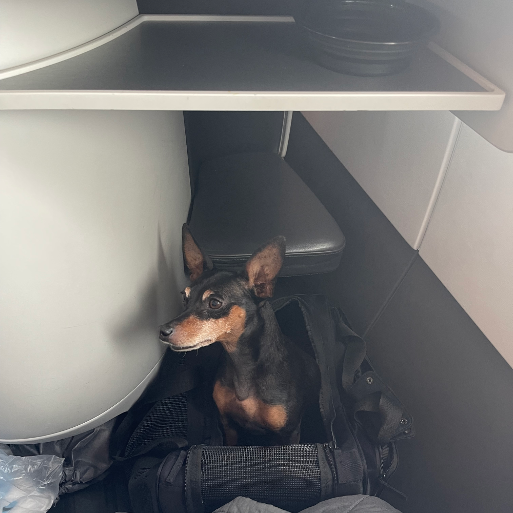 Newark Liberty International Airport (EWR) to Paris-Orly Airport (ORY) on La Compagnie