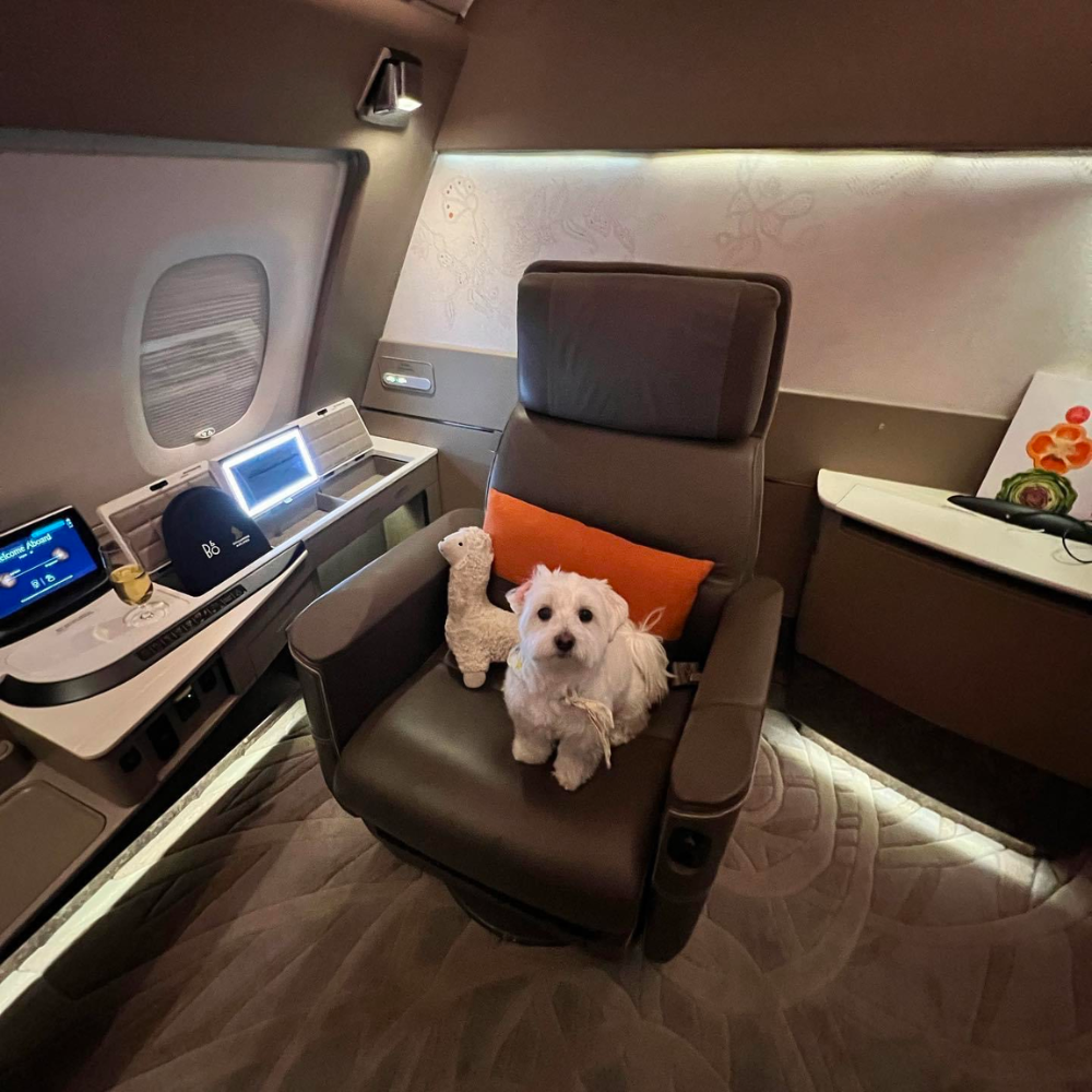 Singapore Changi Airport (SIN) to Heathrow Airport (LHR) on Singapore Airlines