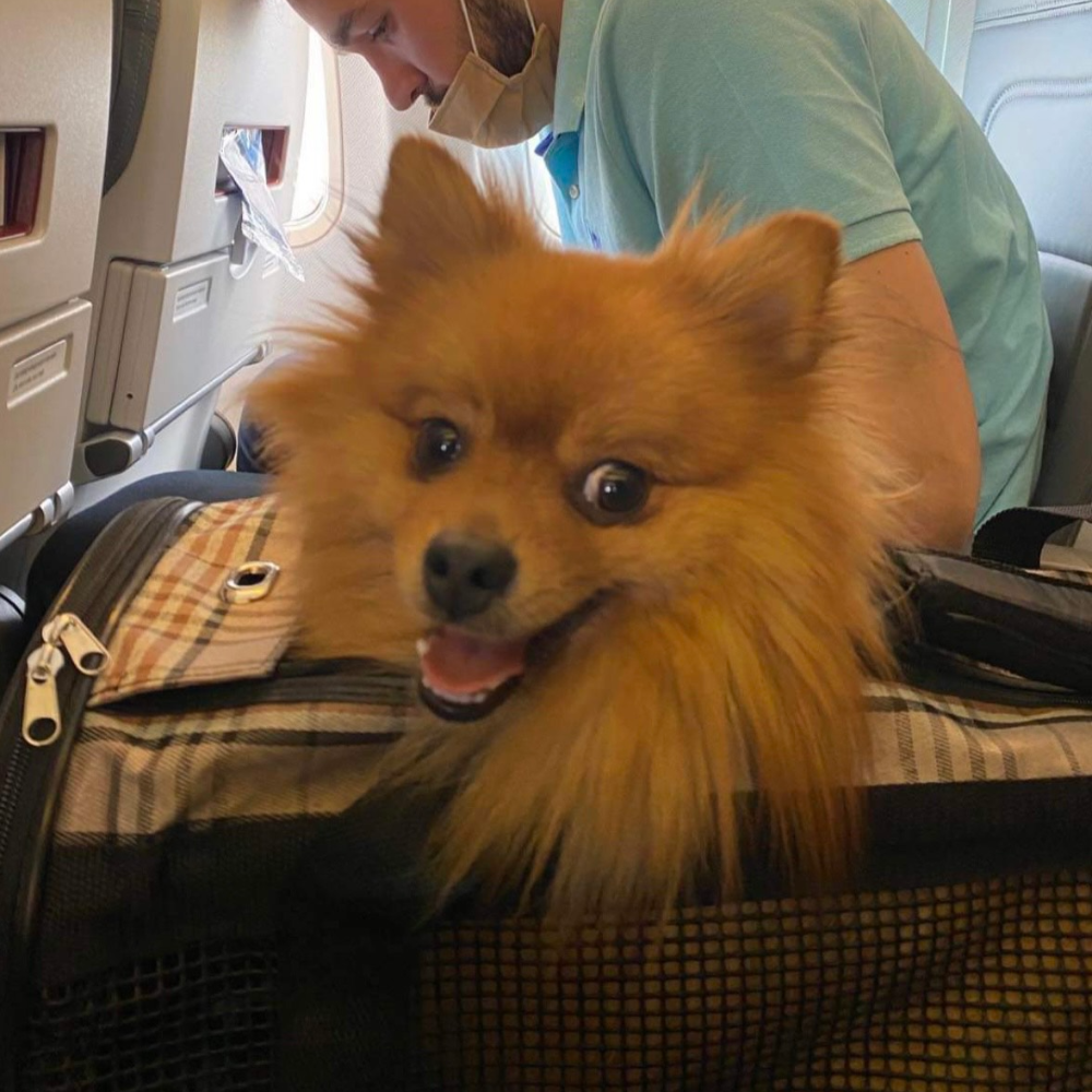 Sarajevo International Airport (SJJ) to Sabiha Gökçen International Airport (SAW) on AJet (AnadoluJet)